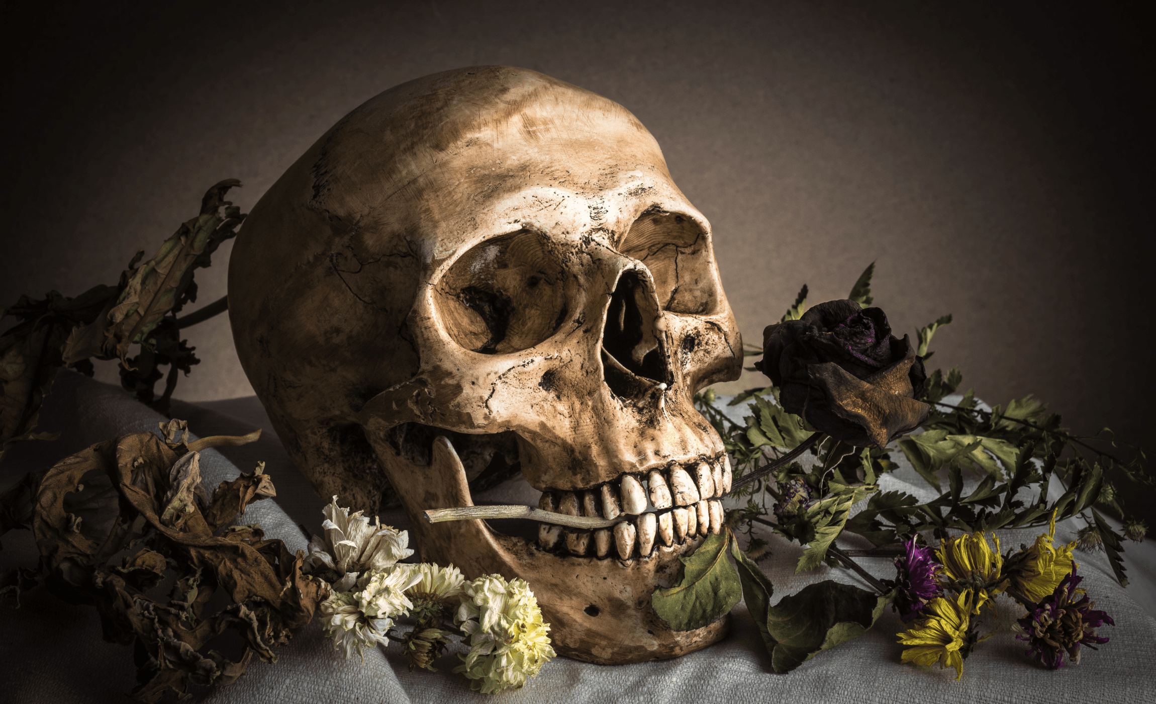 Post-mortem PAGES.POST.COVER_THUMBNAIL.BY_WHOM undefined