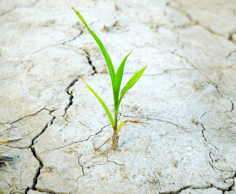 Wypalenie zawodowe w IT by Mateusz Jabłoński